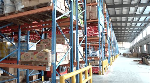 防疫在行動 黃州區織密冷鏈食品監管防護網，同步筑牢體育防護用品零售安全防線